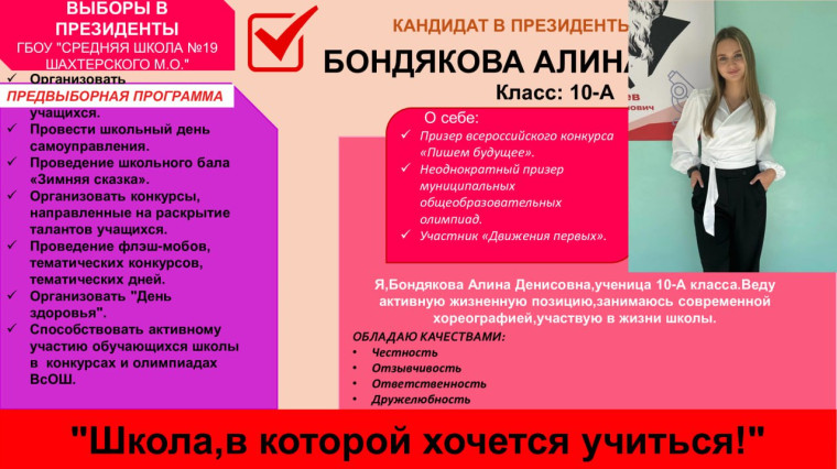 Предвыборная компания.